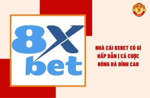 Nhà Cái 8XBet Có Gì Hấp Dẫn | Cá Cược Bóng Đá Đỉnh Cao